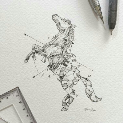 手绘几何体动物插画(作者:菲律宾 kerby rosanes)