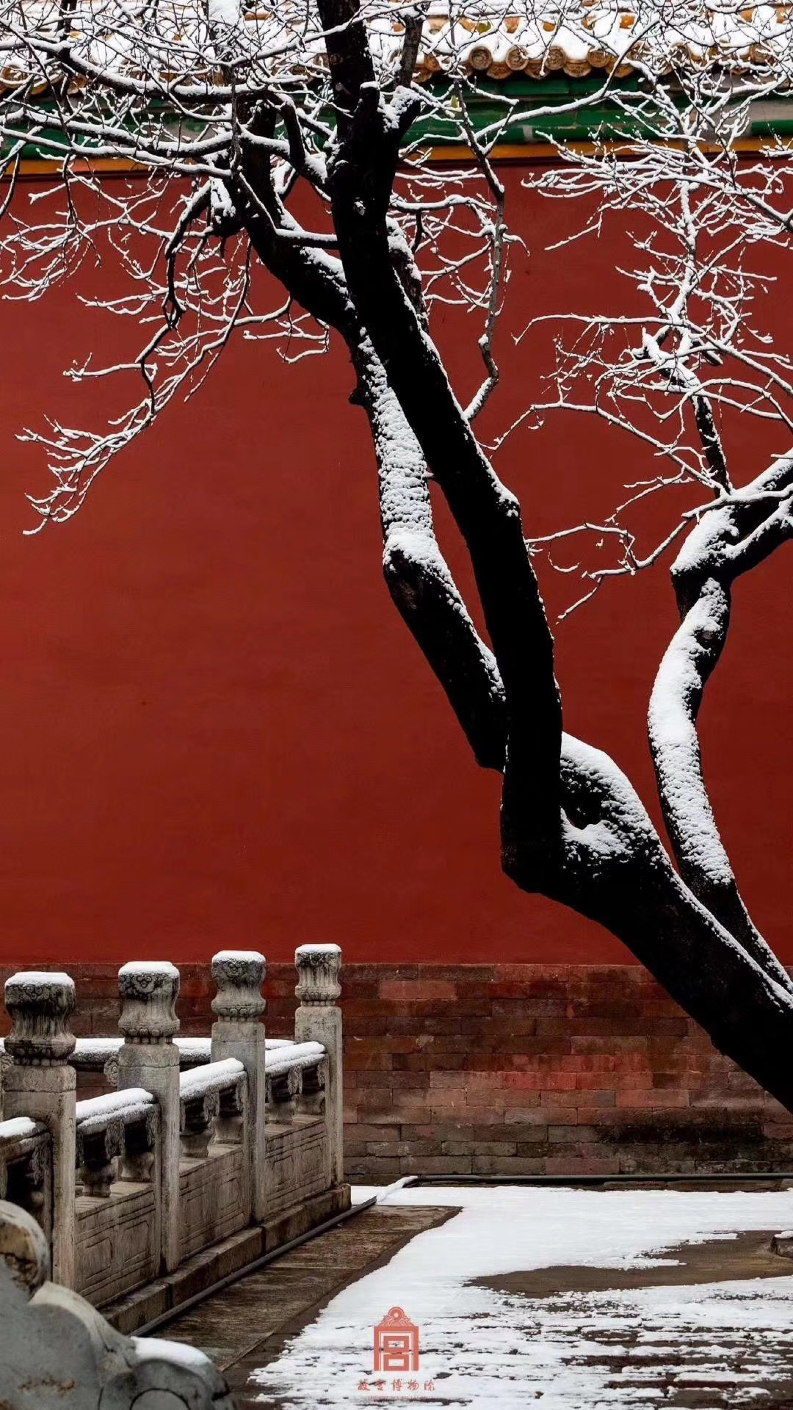 下雪的故宫,红墙琉璃瓦,雪景美不胜收