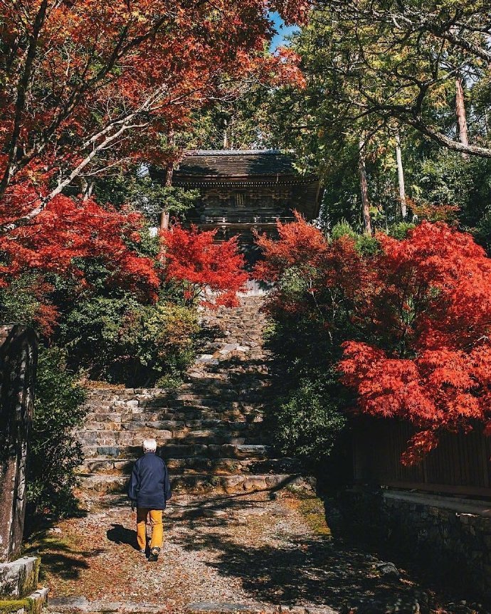 日本京都的红叶 美景 堆糖 美图壁纸兴趣社区