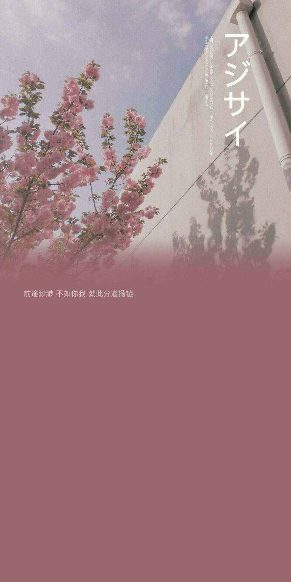 神仙壁纸 你眼里有春有秋胜过我见过爱 堆糖 美图壁纸兴趣社区 神仙壁纸 你眼里有春有秋胜过我见过爱 堆糖 美图壁纸兴趣社区