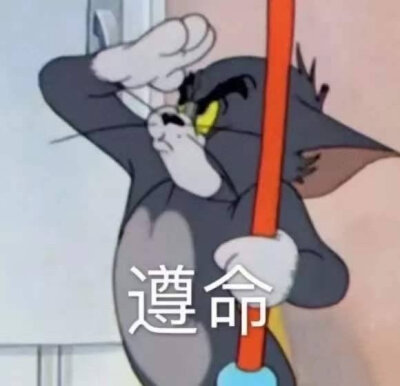 遵命 猫和老鼠