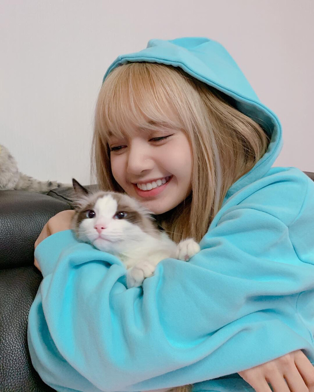 lalisa 