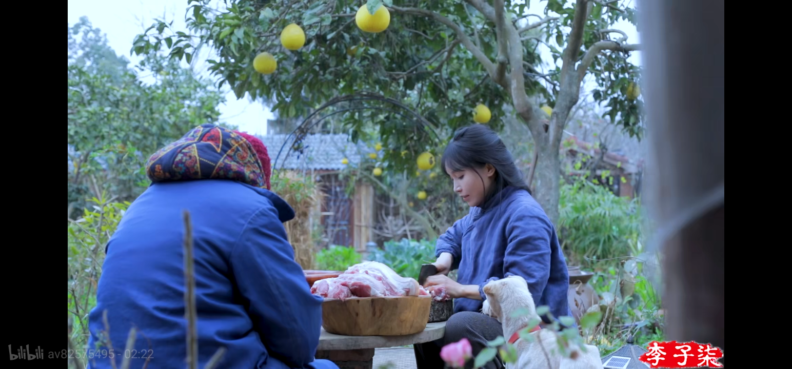 李子柒