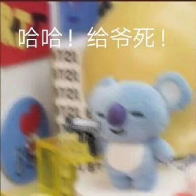 给爷死! #koya