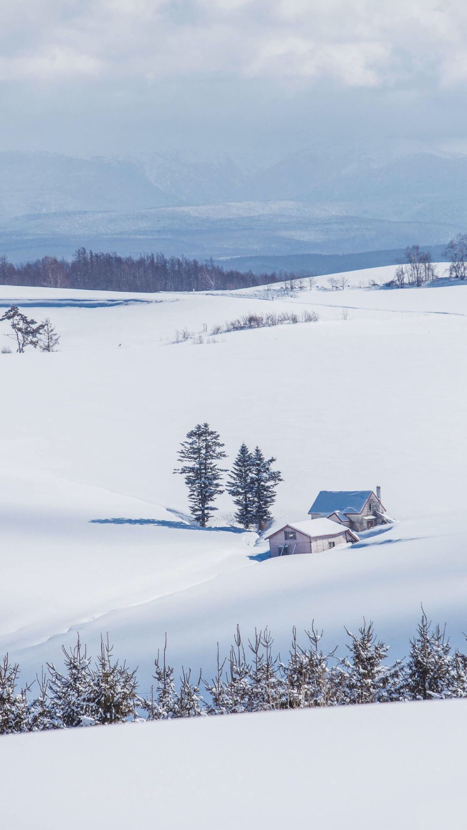 雪景壁纸