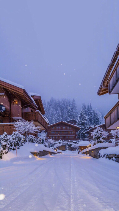 线描画雪景