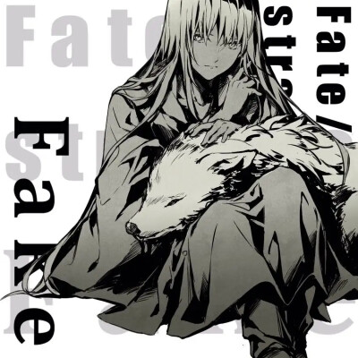 fate/strange fake 恩奇都