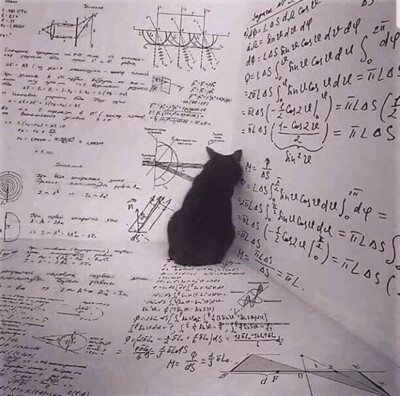 表情包黑猫蹲墙角小声bb数学公式包围