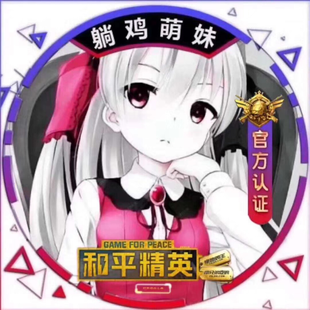 2020年1月16日 5:02 关注 开黑头像 和平精英 评论 收藏