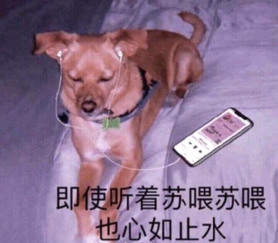 我不是真的人,但你是真的狗