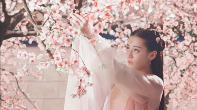 cr:烟火浩劫饭修/迪丽热巴三生三世十里桃花白凤九青丘女君帝姬四海