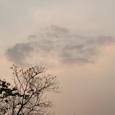 镜花水月一场空