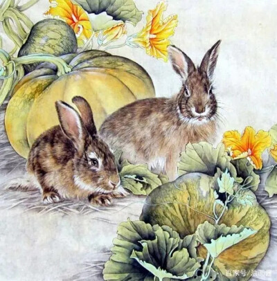 兔子工笔画