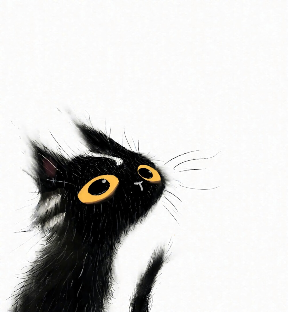 三色堇儿炸毛小黑猫系列
