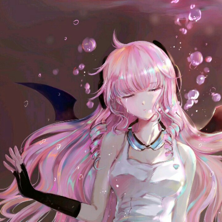 二次元小姐姐.