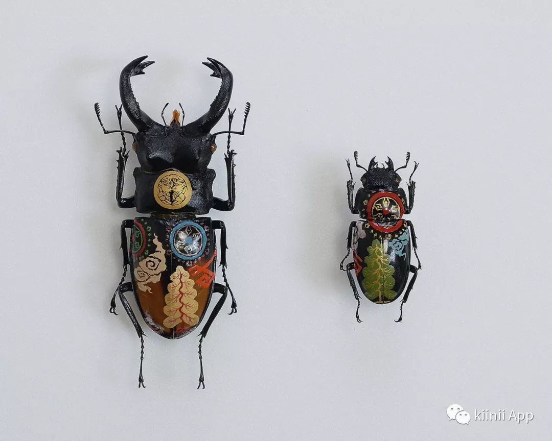 higuchi),日本艺术家,以手工制作逼真而美丽的昆虫标本,既独特且美丽