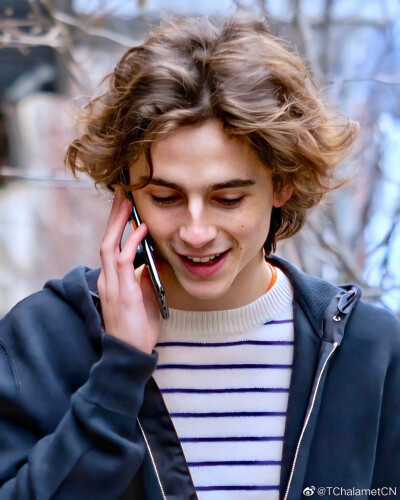 蒂莫西·柴勒梅德timothéechalamet(请以你的名字呼唤我)蒂莫西·柴