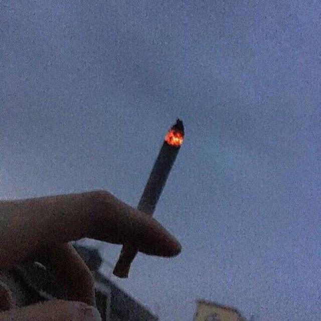 来自网易云的头像