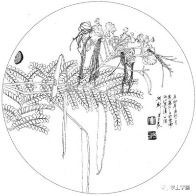 宋代白描花鸟