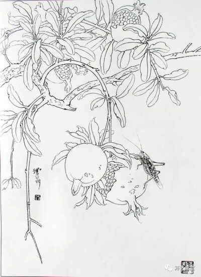 白描花鸟教程