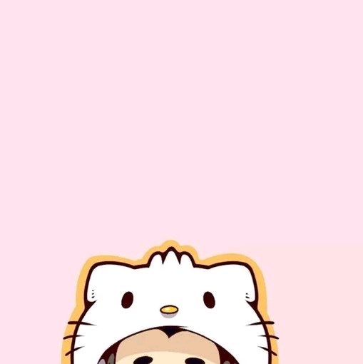 卡通可爱一左一右情头