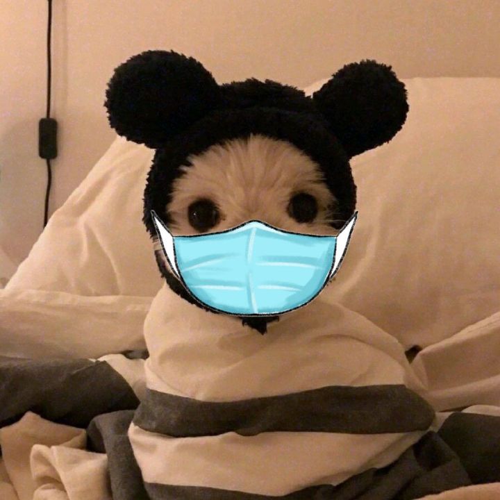 有没有戴口罩的头像?   知乎