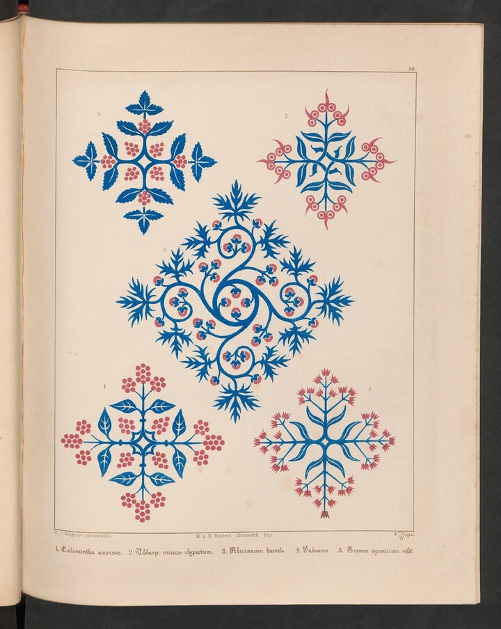 《floriated ornament 》( 花卉装饰图案)是augustus welby pugin(19