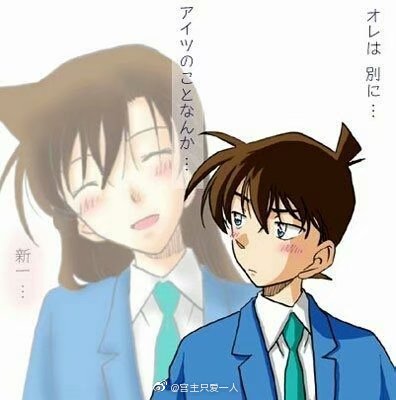 名侦探柯南新兰