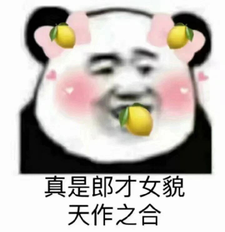 表情包哈哈哈