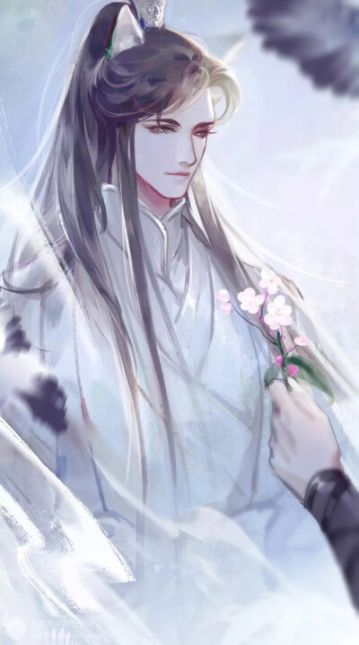 壁纸