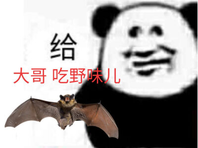 蝙蝠表情包