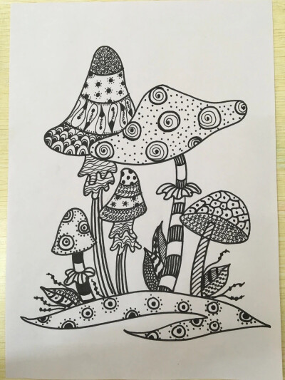 鸟线描画