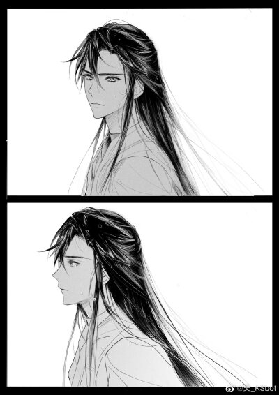 二哈和他的白猫师尊/画师见水印