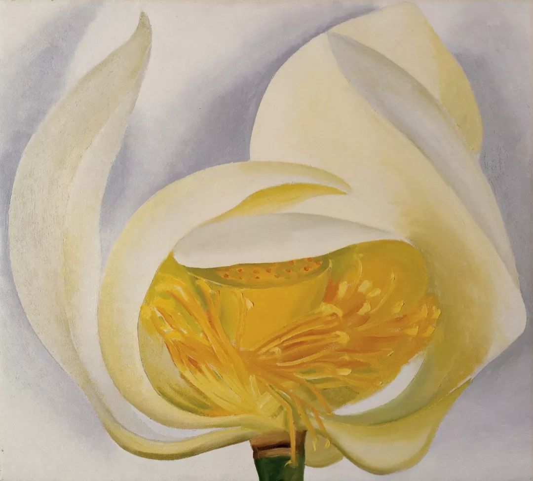 乔治亚·欧姬芙《white lotus》,布面油画,1939年