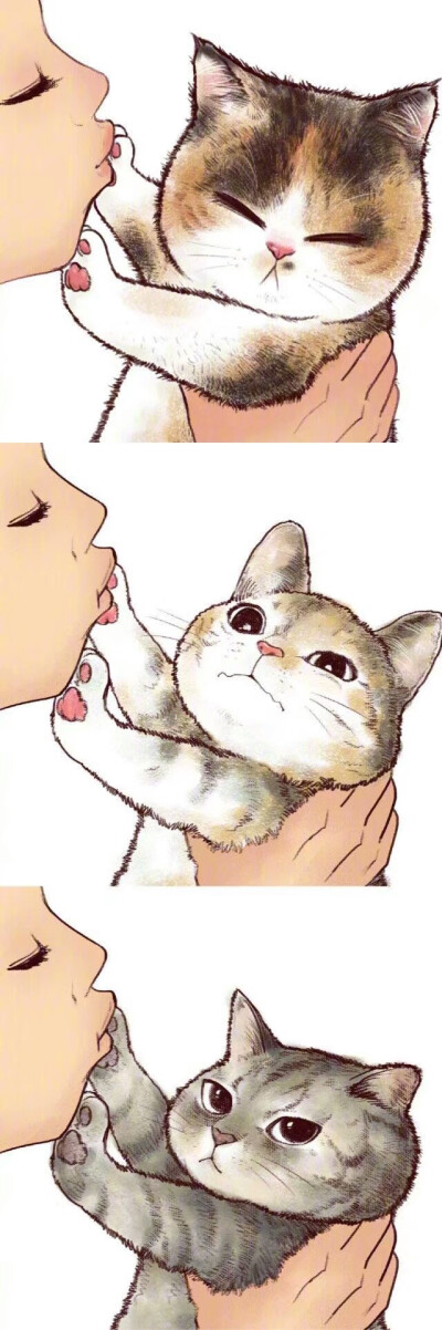 收集   点赞  评论  猫咪kiss 0 0 m61  发布到  萌系 图片评论 0条