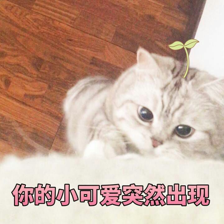 超可爱超甜恋爱表情包(ˊωˋ*)