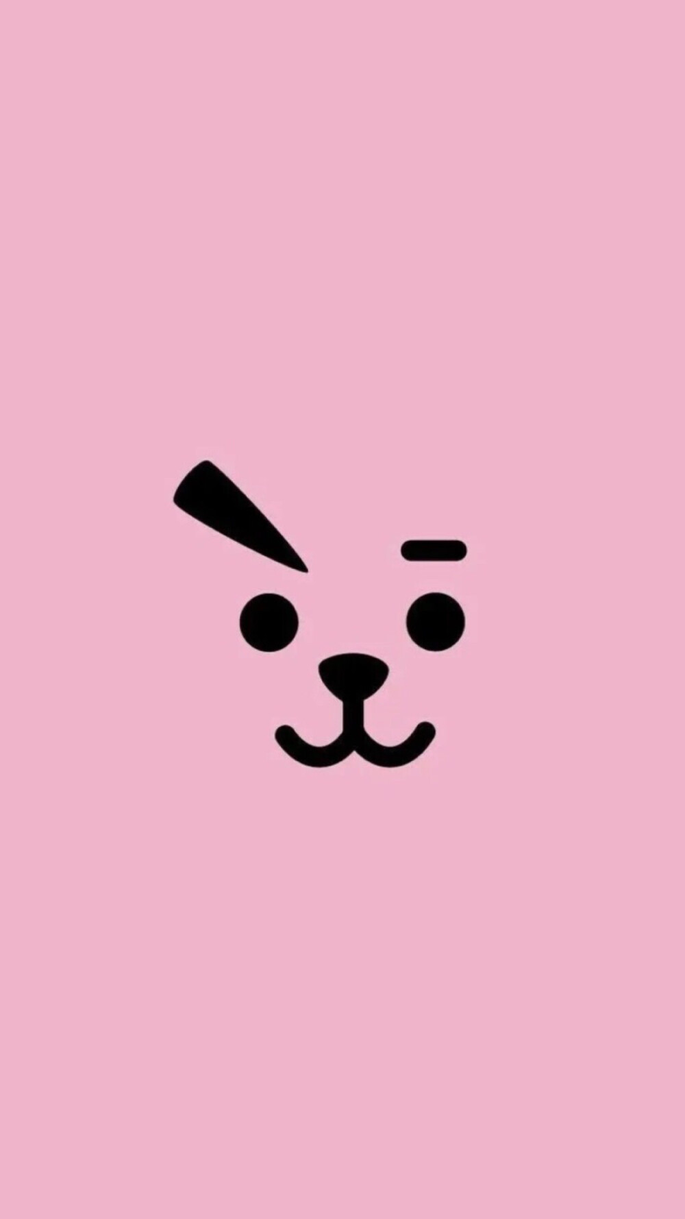 cooky 