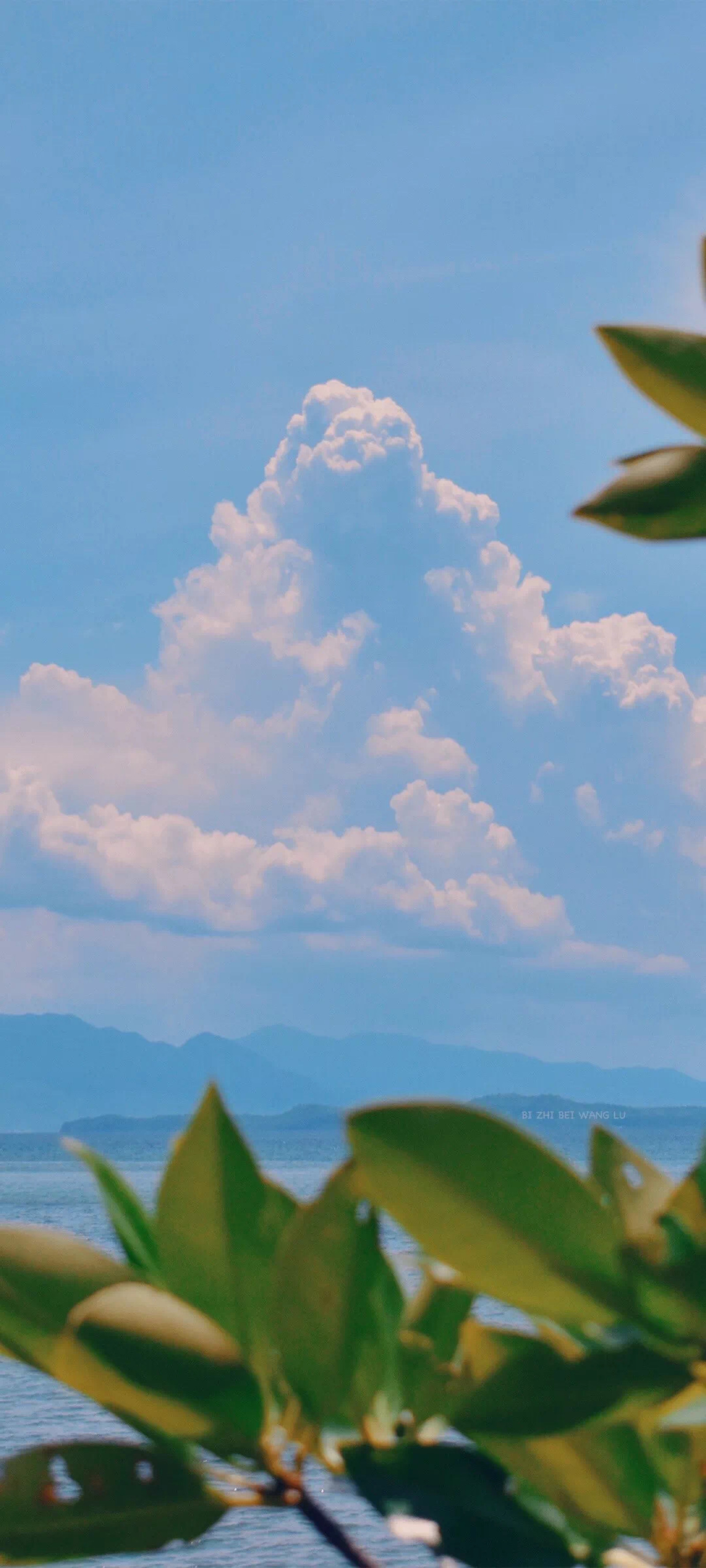 美景