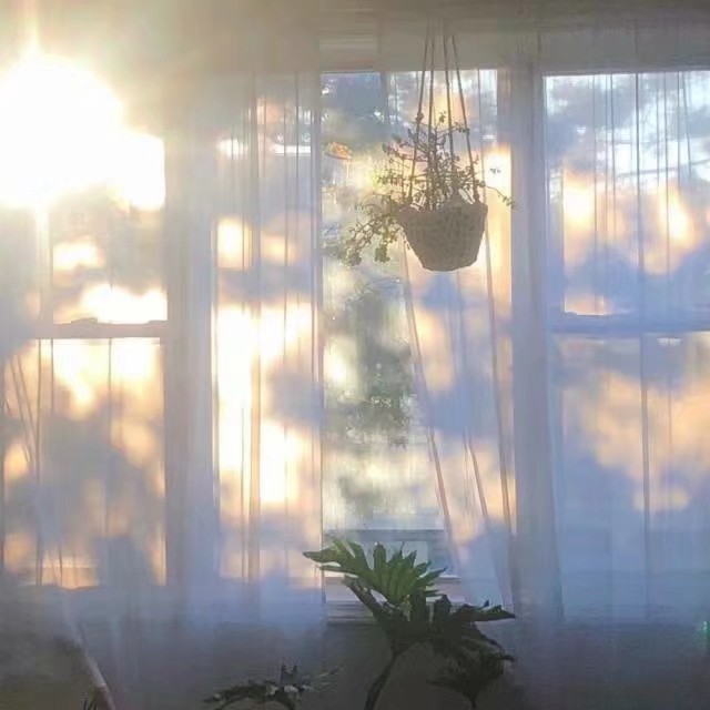 万物皆有裂痕,那是光照进来的地方