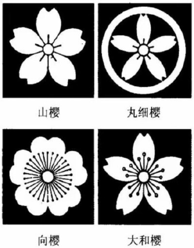 日本家纹——樱花纹