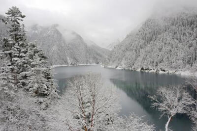 九寨沟初雪# 九寨沟化身冰雪"童话世界",让我们以"雪"为题玩组飞花令