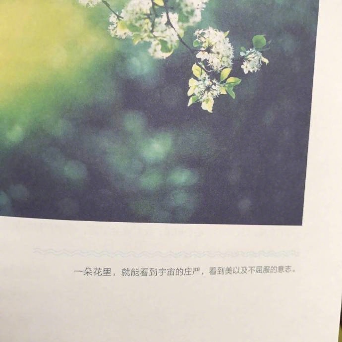 几乎每个人都听过"不忘初心,方得始终",却少有人知道下一句"初心易得
