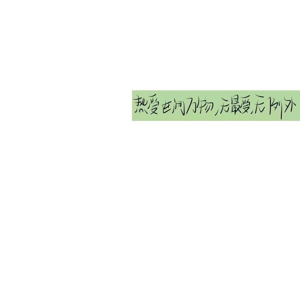 文字头像#白底