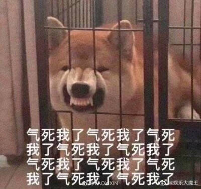 烦躁 表情