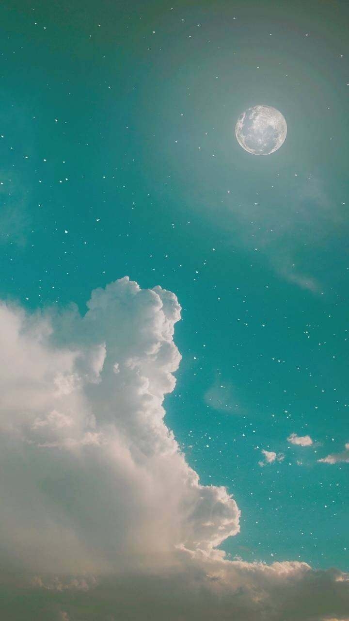 唯美