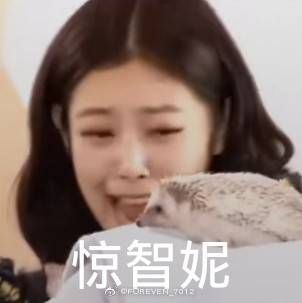 姐姐们的表情包