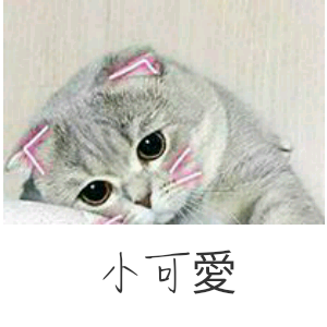 我来送头像啦!点个关注再走呗