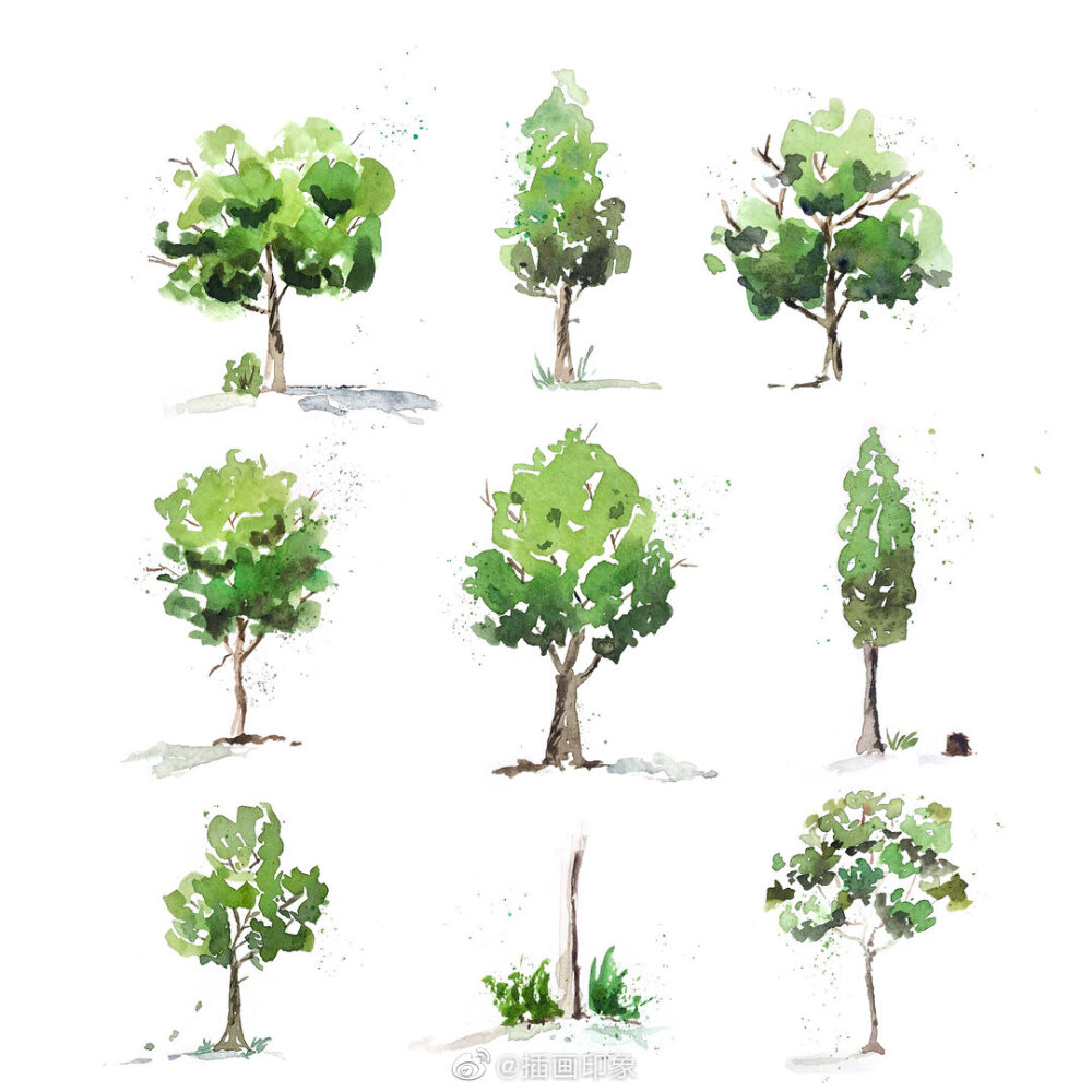 水彩树的几种不同画法~插画师:inksnthings