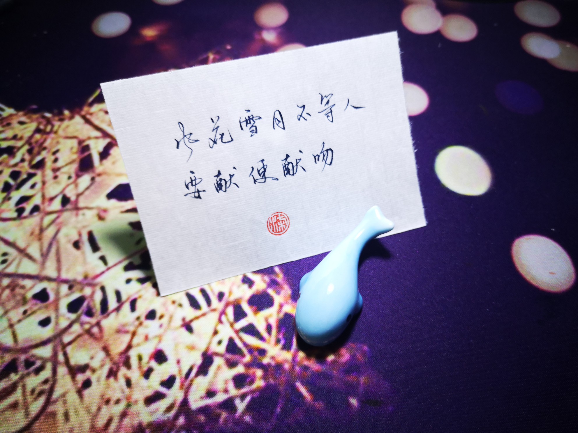 风花雪月不等人