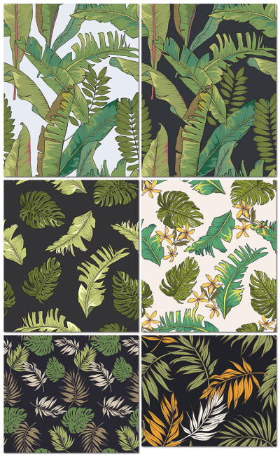 棕榈树叶子大森林风森系热带植物插画psd海报背景模板设计素材
